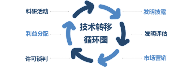 尼斯内部会议纪要流出：赛后刷新队史纪录，荷甲使命明确，数据趋势出现新变化的简单介绍